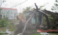 Вся страна принимает участие в ликвидации последствий тайфуна «Вутип»