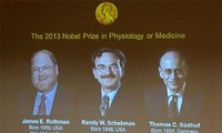 Назван лауреат Нобелевской премии 2013 года по медицине