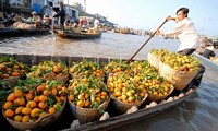 Активизация привлечения прямых иностранных инвестиций в дельту реки Меконг