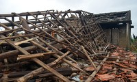 Центральный Вьетнам прилагает максимум усилий для ликвидации последствий тайфуна «Нари»