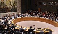 В Совбез ООН были избраны 5 новых непостоянных членов