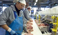 Россия готова поставлять мясо во Вьетнам
