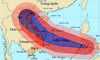 Премьер-министр приказал в экстренном порядке подготовиться к борьбе с тайфуном «Хайян»