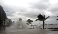 Тайфун «Хайян» обрушился на город Хайфон и провинцию Куангнинь