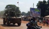 СБ ООН поддержал военное вмешательство в конфликт в ЦАР