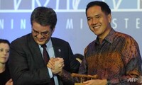 Балийский пакет соглашений принесёт выгоду развивающимся странам