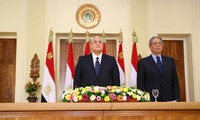 Исламское движение приглашено на участие в референдуме по поводу новой конституции Египта