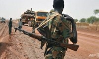 Мировое сообщество прилагает усилия для урегулирования конфликта в Южном Судане