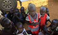 Мировое сообщество прилагает усилия для разрешения конфликта в Южном Судане