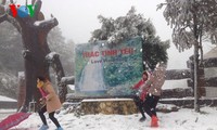 Снег прошел в городе Шапа