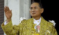 Король Таиланда призвал разрешить политический кризис мирным путём