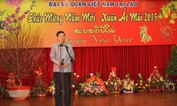 Посольства Вьетнама в зарубежных странах организуют новогодние встречи