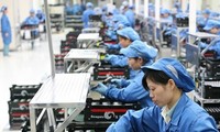 Во Вьетнаме повышают качество деятельности предприятий по экспорту труда