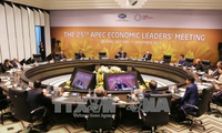 АТЭС 2017 способствует повышению позиций Вьетнама на международной арене