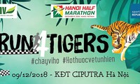 Более 750 человек присоединились к марафону «Бег ради тигра»