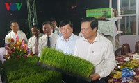Открылся фестиваль вьетнамского риса и представлены рисовые бренды Вьетнама