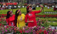 В городе Каолань провинции Донгтхап открылась улица весенних цветов