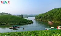 Чайный остров Тханьчыонг
