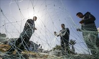 Палестинские группировки прекратили огонь в секторе Газа
