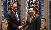 Вице-премьер, глава МИД СРВ встретился с министром иностранных дел Джибути