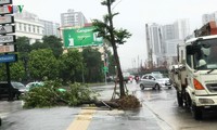 Вьетнам сосредотачивается на ликвидации последствий тайфуна «Вифа»   