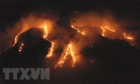 Сотни новых пожаров произошли в Амазонии 