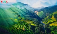 Рисовые террасы Му Кан Чай – ведущее туристическое направление мира в 2020 году
