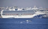 Япония подтвердила 355 случаев заражения коронавирусом на лайнере Diamond Princess