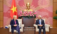 Вице-спикер вьетнамского парламента принял группу немецких парламентариев за отношения с АСЕАН