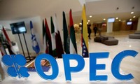 Участники ОПЕК+ смогут сократить добычу нефти, если на это пойдут и США