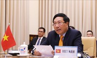Вьетнам вносит активный вклад в деятельность Совбеза ООН 
