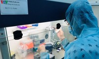 В Дананге взяли более 16 тысяч образцов для тестирования на коронавирус