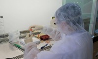 4 дня подряд во Вьетнаме не фиксируется ни одного нового случая заражения коронавирусом среди населения
