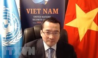 Вьетнам тесно взаимодействует с международным сообществом в борьбе с терроризмом