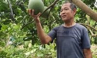 Об инвалиде Нгуен Куанг Тоане, который помогает односельчанам развивать сельскохозяйственное производство
