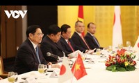 Укрепление дружбы между Вьетнамом и Японией
