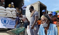 Почти половина населения Гаити сталкивается с отсутствием продовольственной безопасности