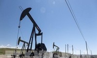 МЭА повысило оценку мирового спроса на нефть в 2022 г.