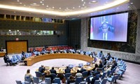 Совбез ООН продлил на год оружейное эмбарго в отношении ЦАР