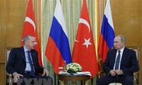 Турция усердно содействует встрече президентов России и Украины