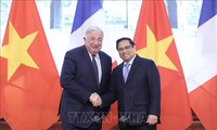 Дальнейшее форсирование вьетнамско-французских отношений