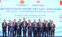 Премьер-министр Фам Минь Тинь принял участие во Вьетнамско-сингапурском бизнес-форуме