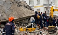 Вьетнам жертвует 200 тыс. долларов США на поддержку Турции и Сирии в преодолении последствий землетрясения