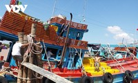 Вьетнам стремится отменить желтую карточку ННН, решив предотвратить незаконное рыболовство