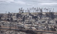 Число жертв пожаров на Гавайях возросло до 80