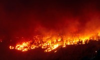 Лесные пожары происходят во многих странах