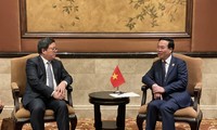 Президент Во Ван Тхыонг принял руководителей некоторых китайских корпораций