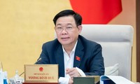 Председатель НС СРВ Выонг Динь Хюэ: Необходимо тщательно подготовиться к 7-й сессии НС 15-го созыва