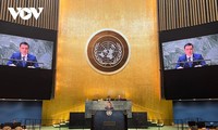 Вьетнам поддерживает резолюцию Генеральной Ассамблеи ООН по вопросу членства Палестины в ООН