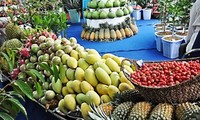 Bến Tre: Khai mạc ngày hội cây trái và sản phẩm nông nghiệp